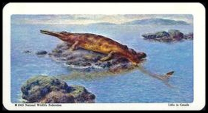 10 Geosaurus